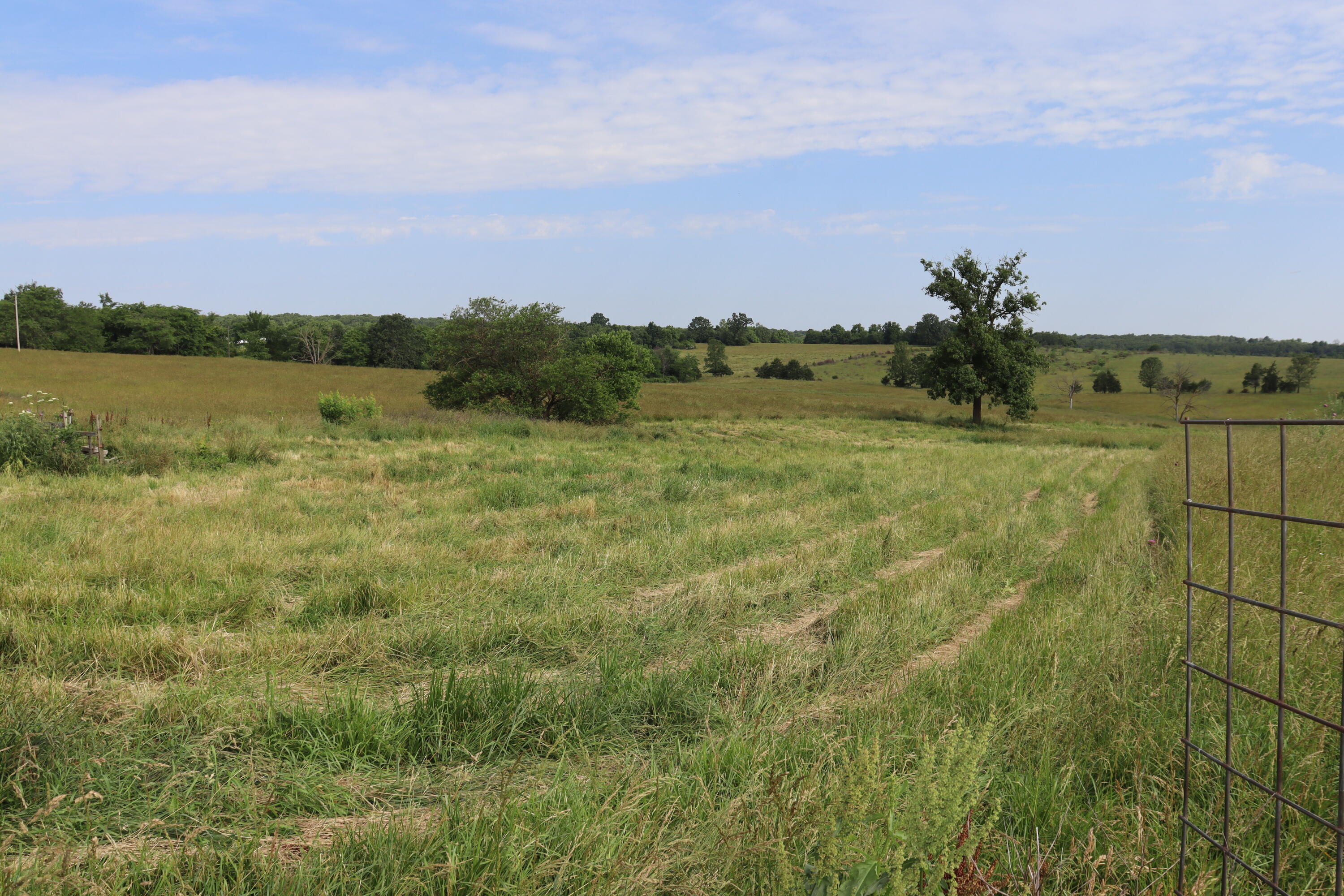 4317 P Road Property Photo 44