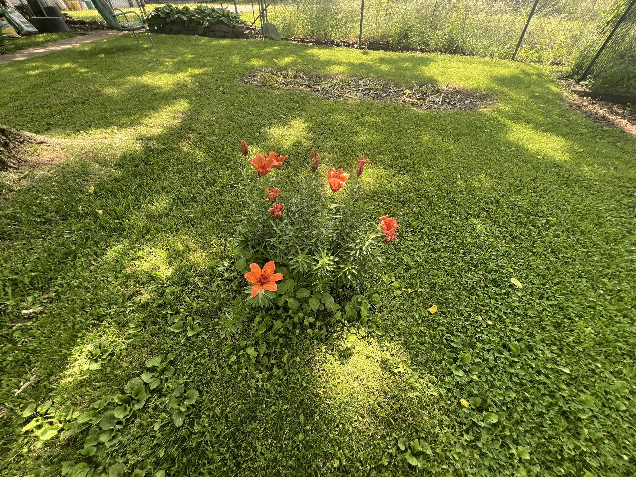 1208 South Highway 137 Property Photo 4