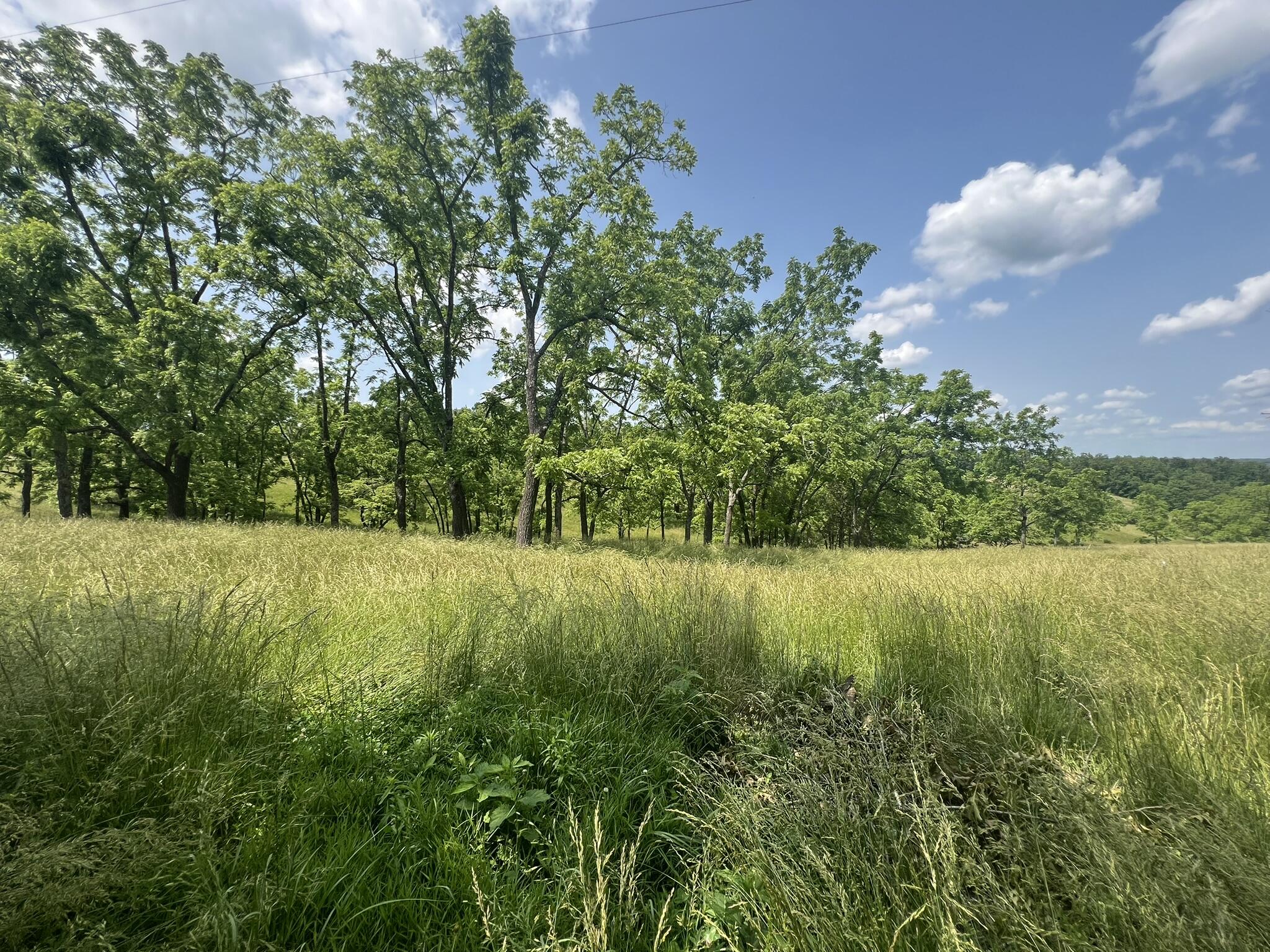 1208 South Highway 137 Property Photo 10