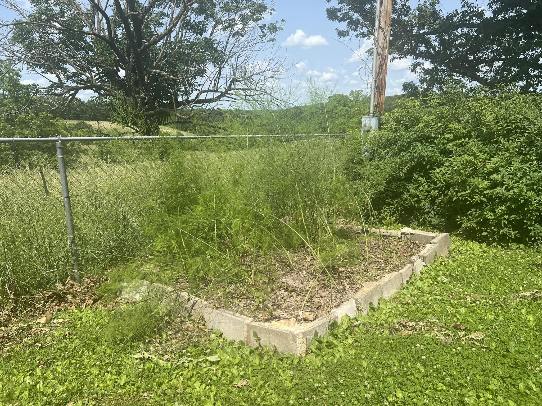 1208 South Highway 137 Property Photo 11