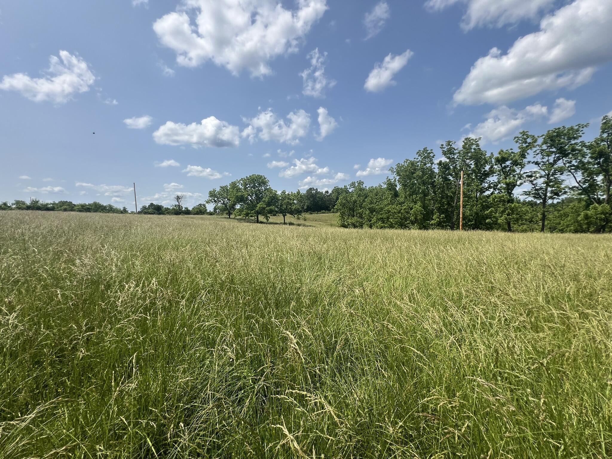 1208 South Highway 137 Property Photo 28
