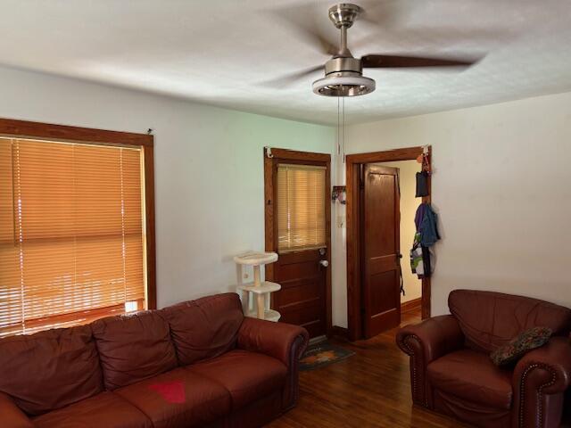 317 West Pleasant Street Property Photo 7