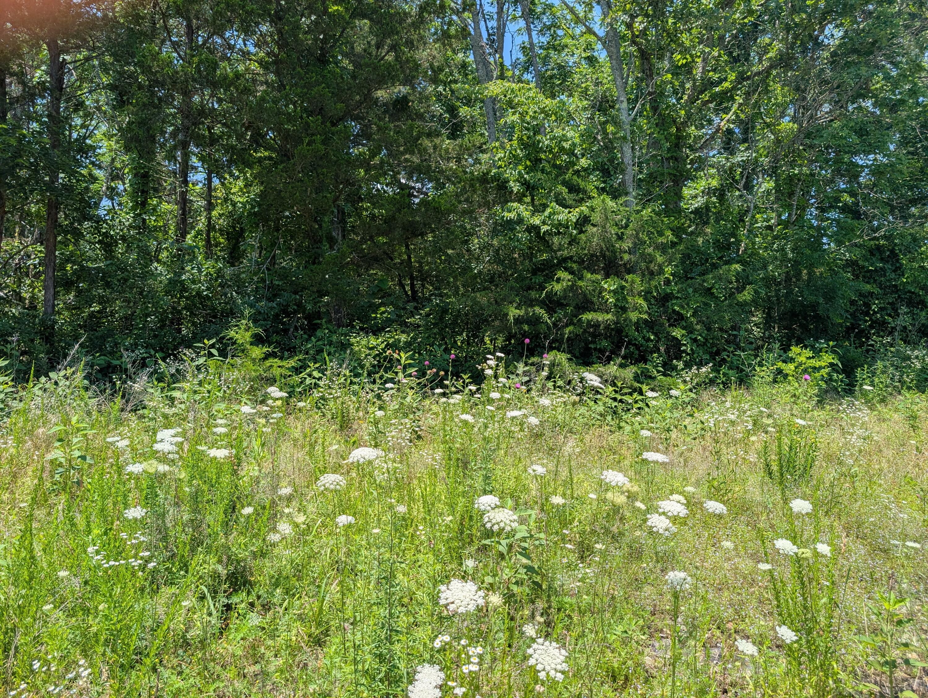 Lot 140 Farm Road 1255 Property Photo 1
