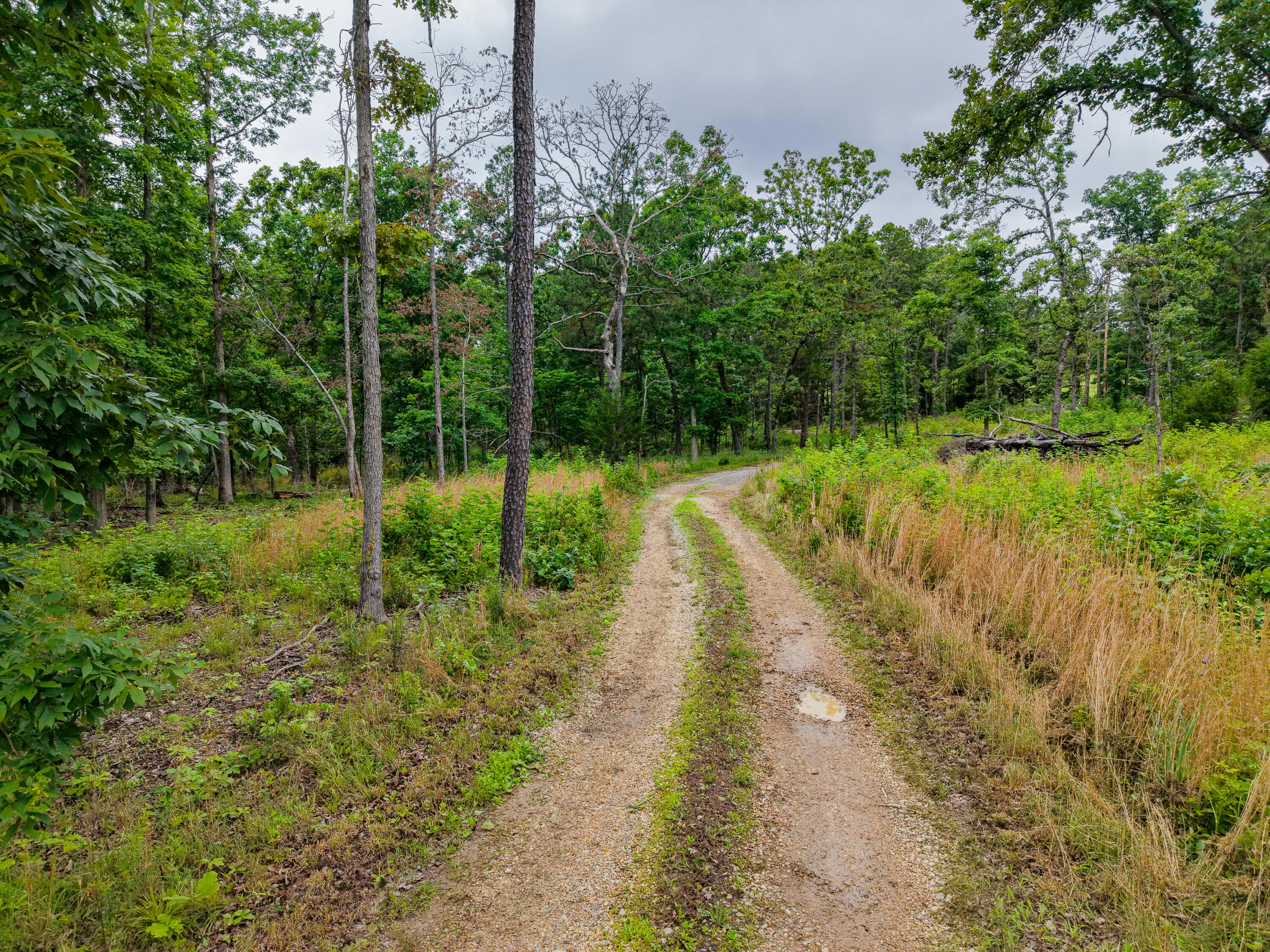1036 State Highway N Property Photo 51
