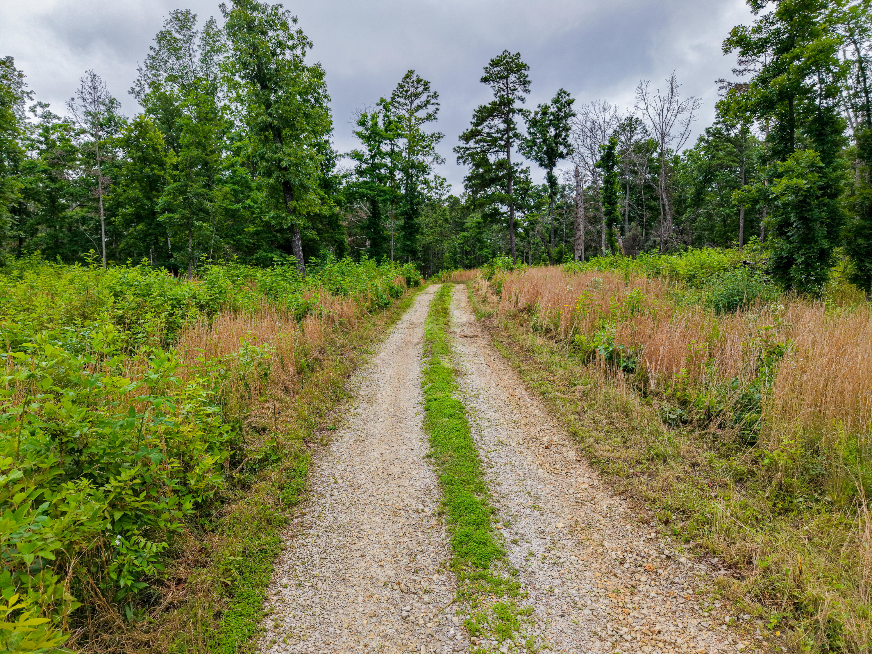 1036 State Highway N Property Photo 52