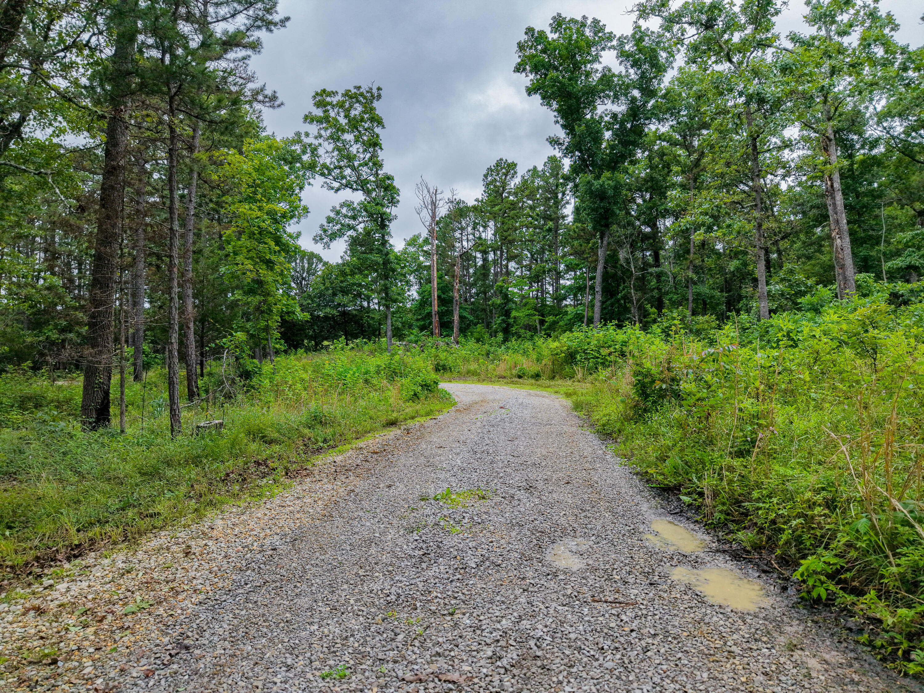 1036 State Highway N Property Photo 53