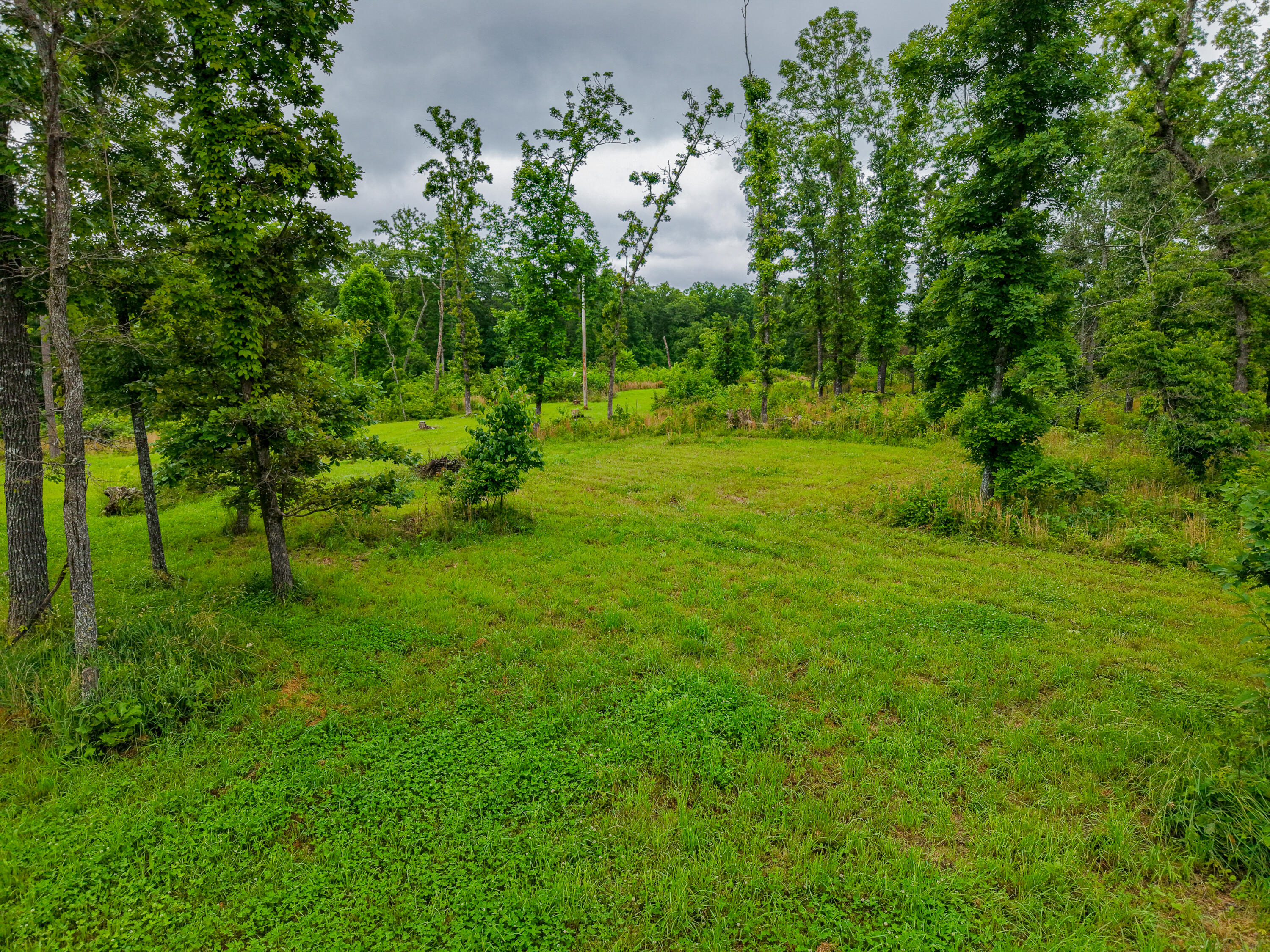 1036 State Highway N Property Photo 54