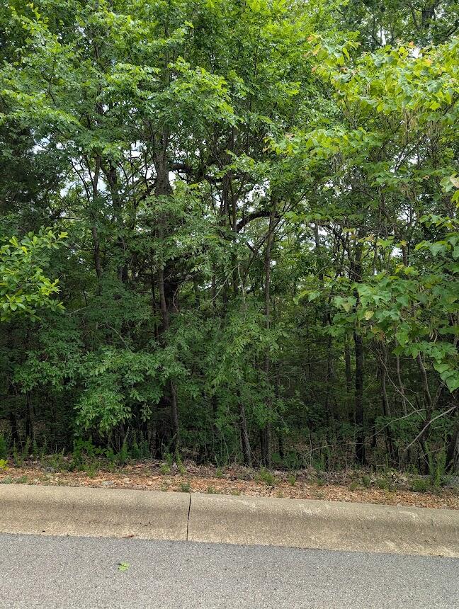 237 Crescent Drive Property Photo 3