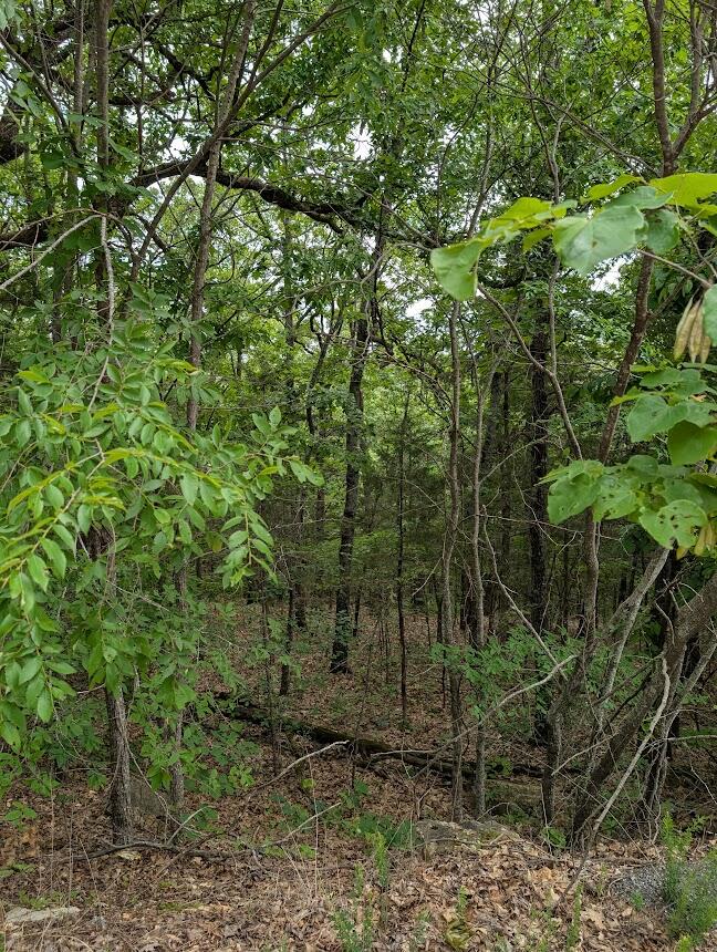 237 Crescent Drive Property Photo 4