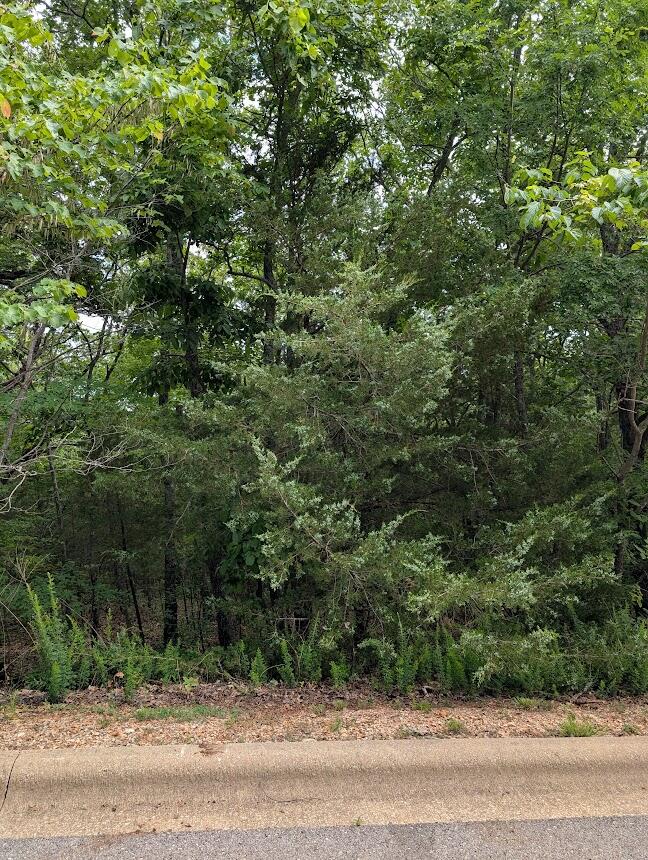 237 Crescent Drive Property Photo 5