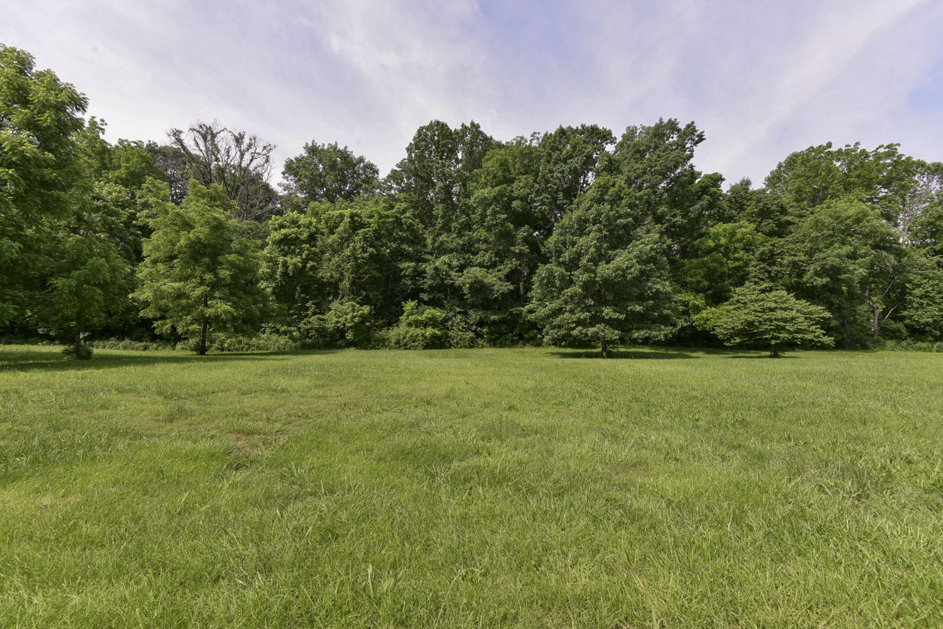 19696 Farm Road 1043 Property Photo 11