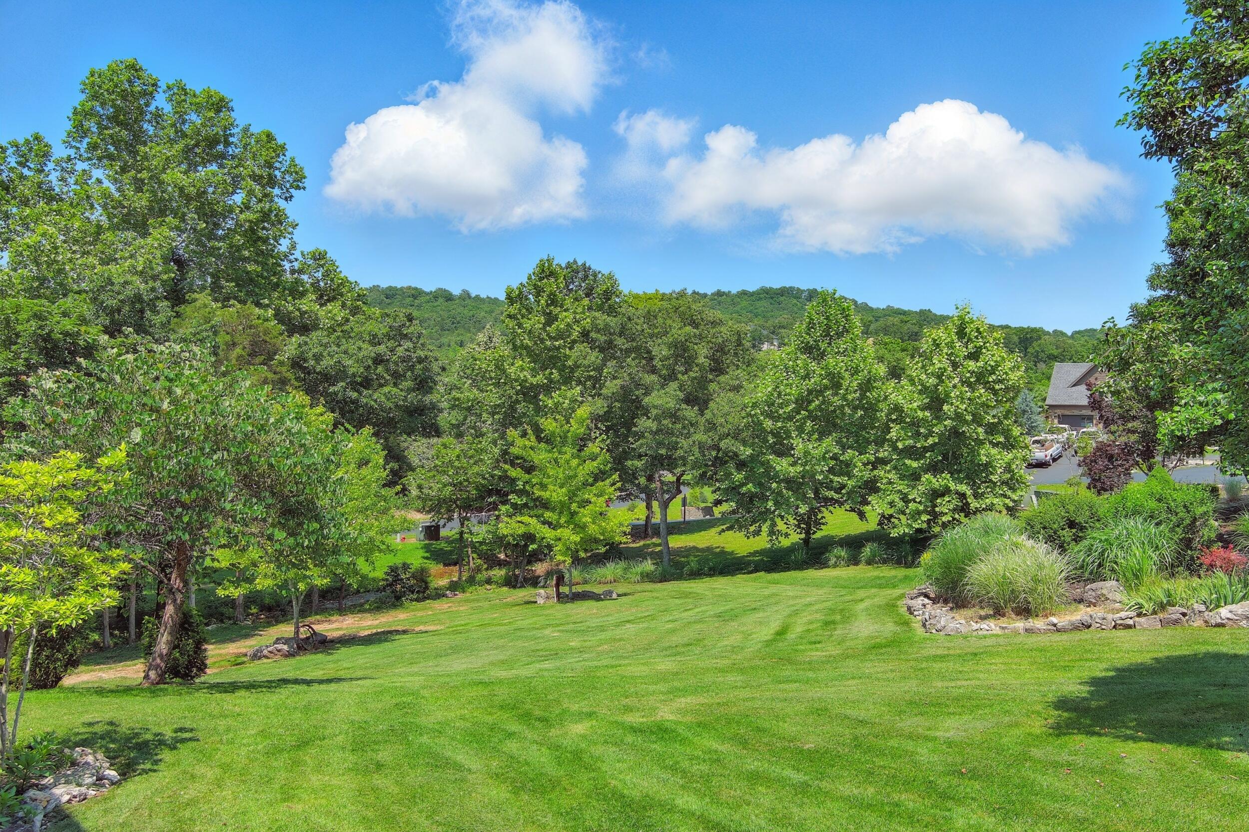 101 Appaloosa Trail Property Photo 7