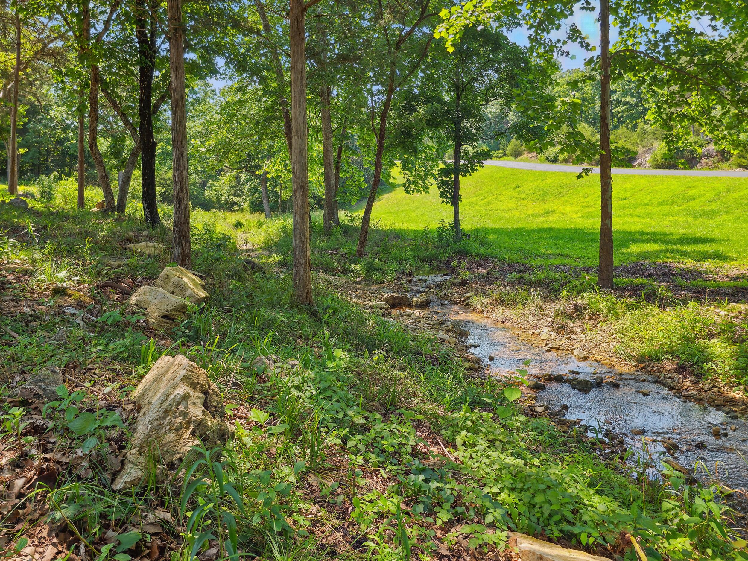 101 Appaloosa Trail Property Photo 8