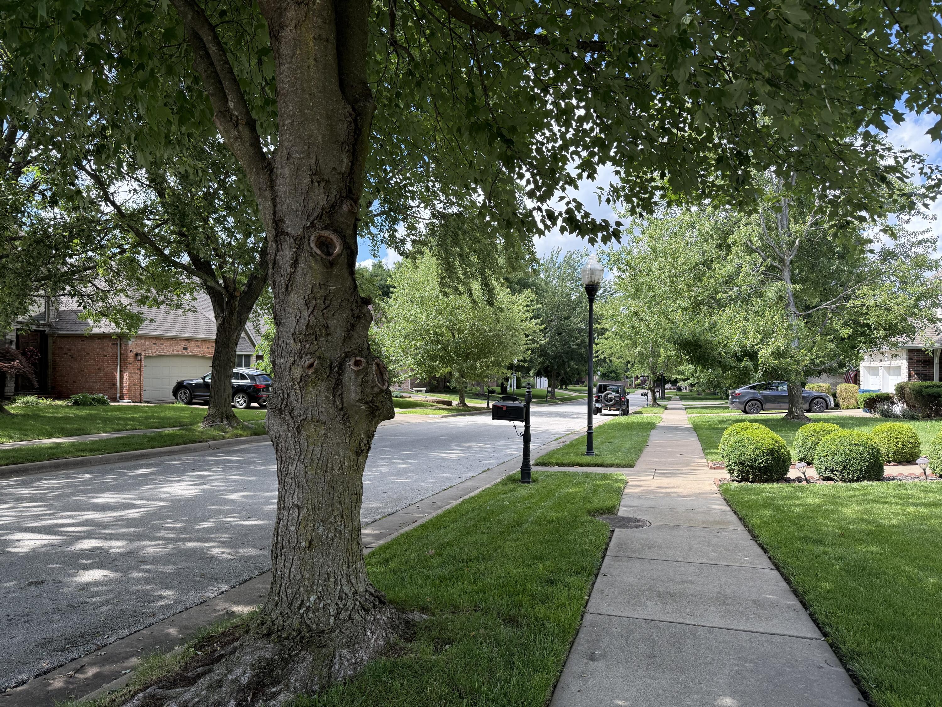 2411 West Dearborn Street Property Photo 65