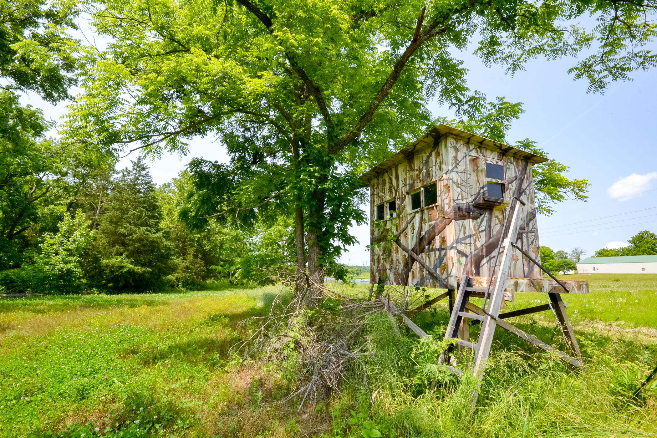 22920 Feaster Branch Road Property Photo 40