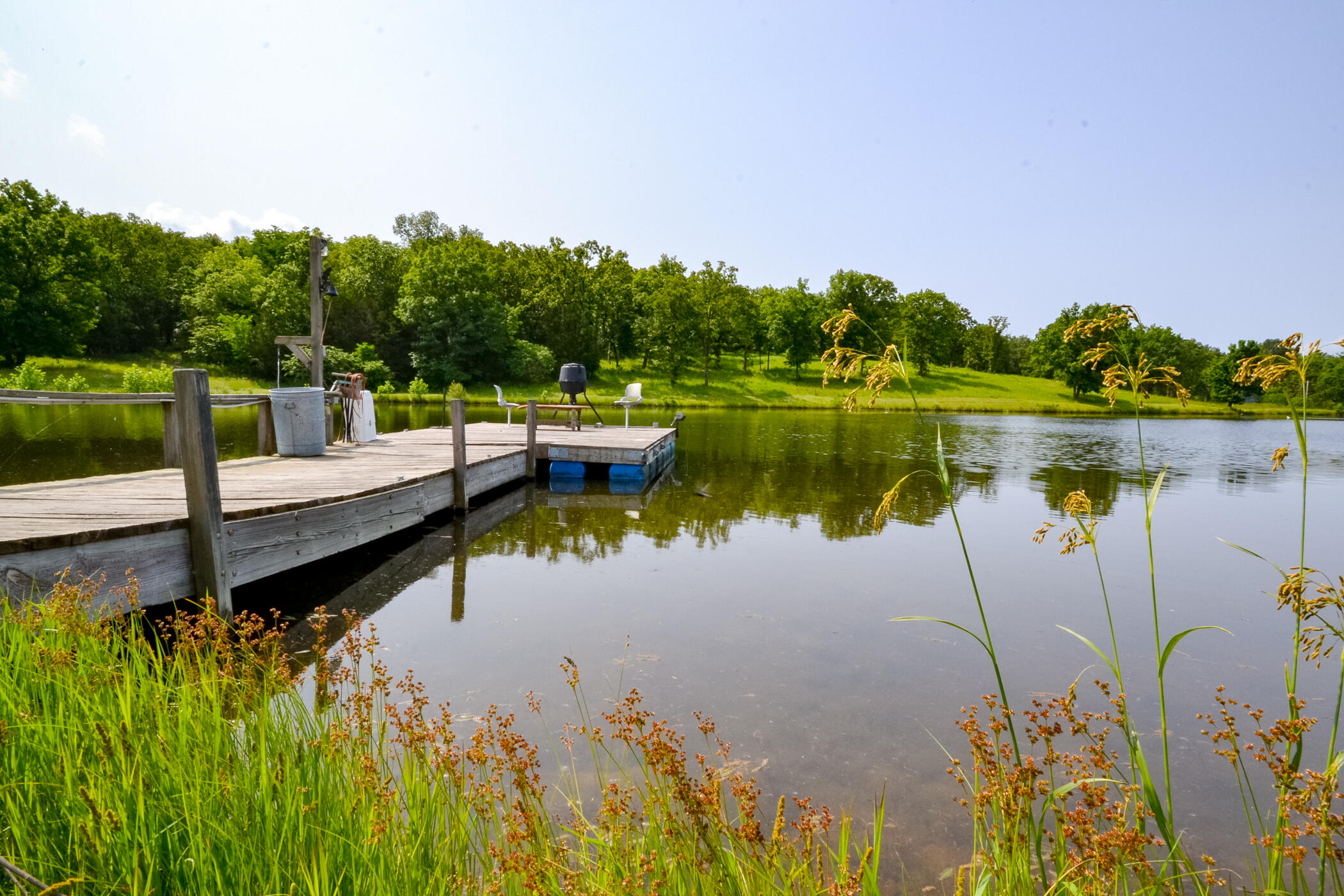 22920 Feaster Branch Road Property Photo 41