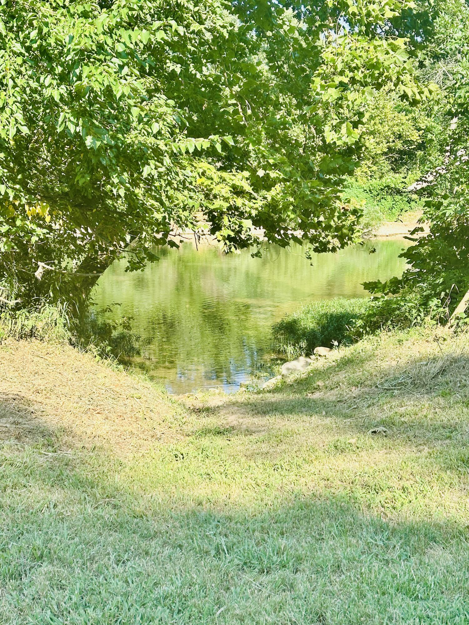 1029 Riverview Road Property Photo 72