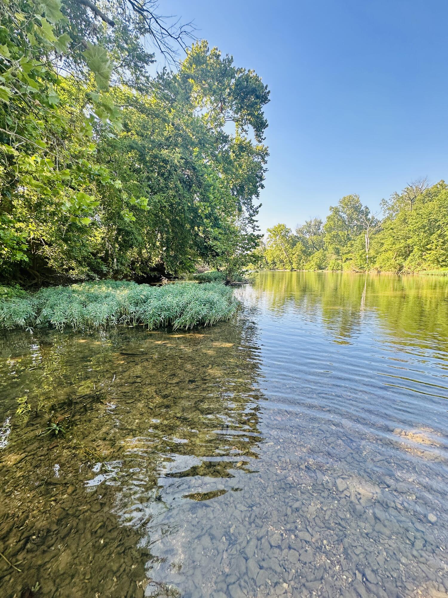 1029 Riverview Road Property Photo 74