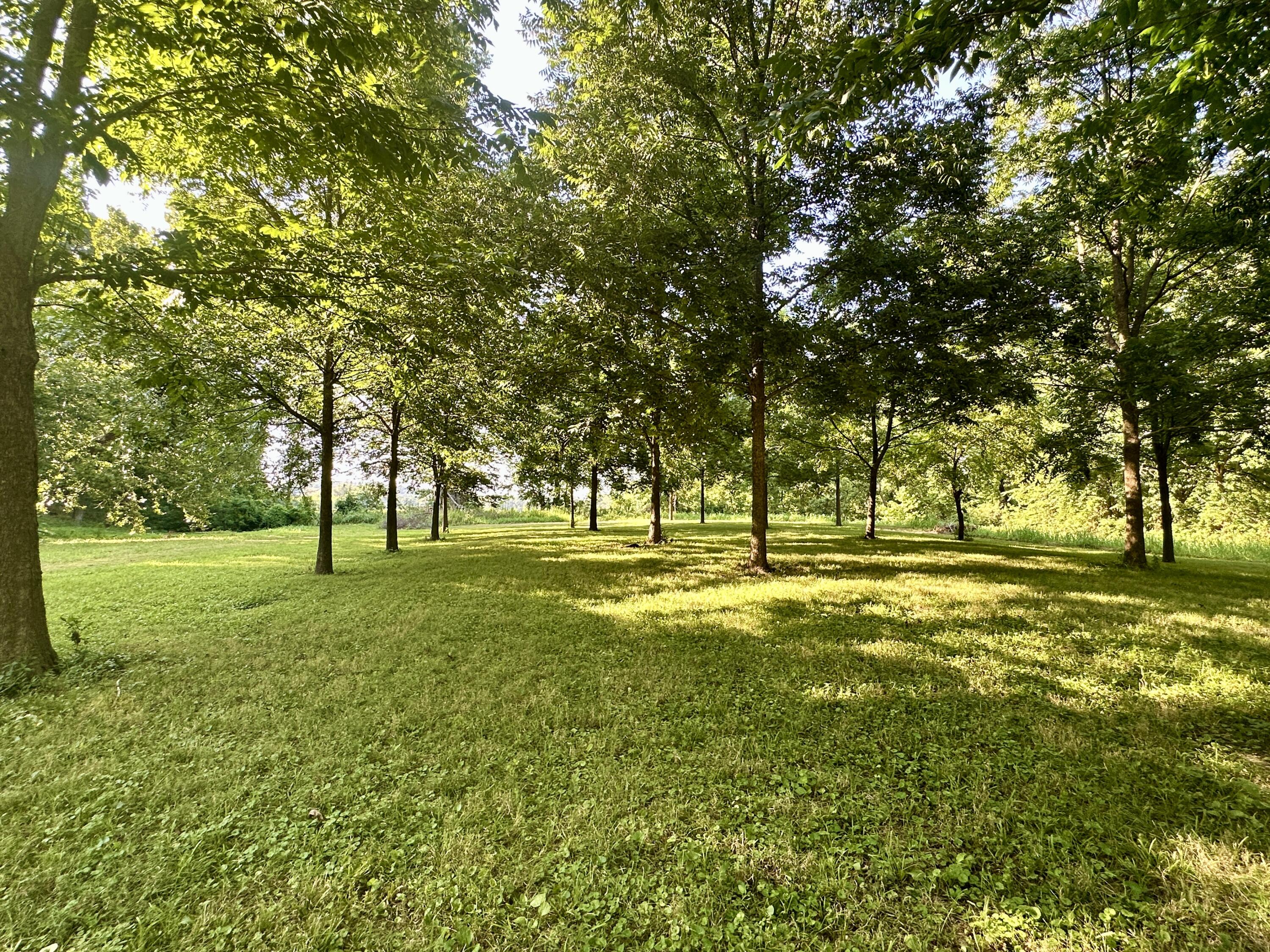 1029 Riverview Road Property Photo 78