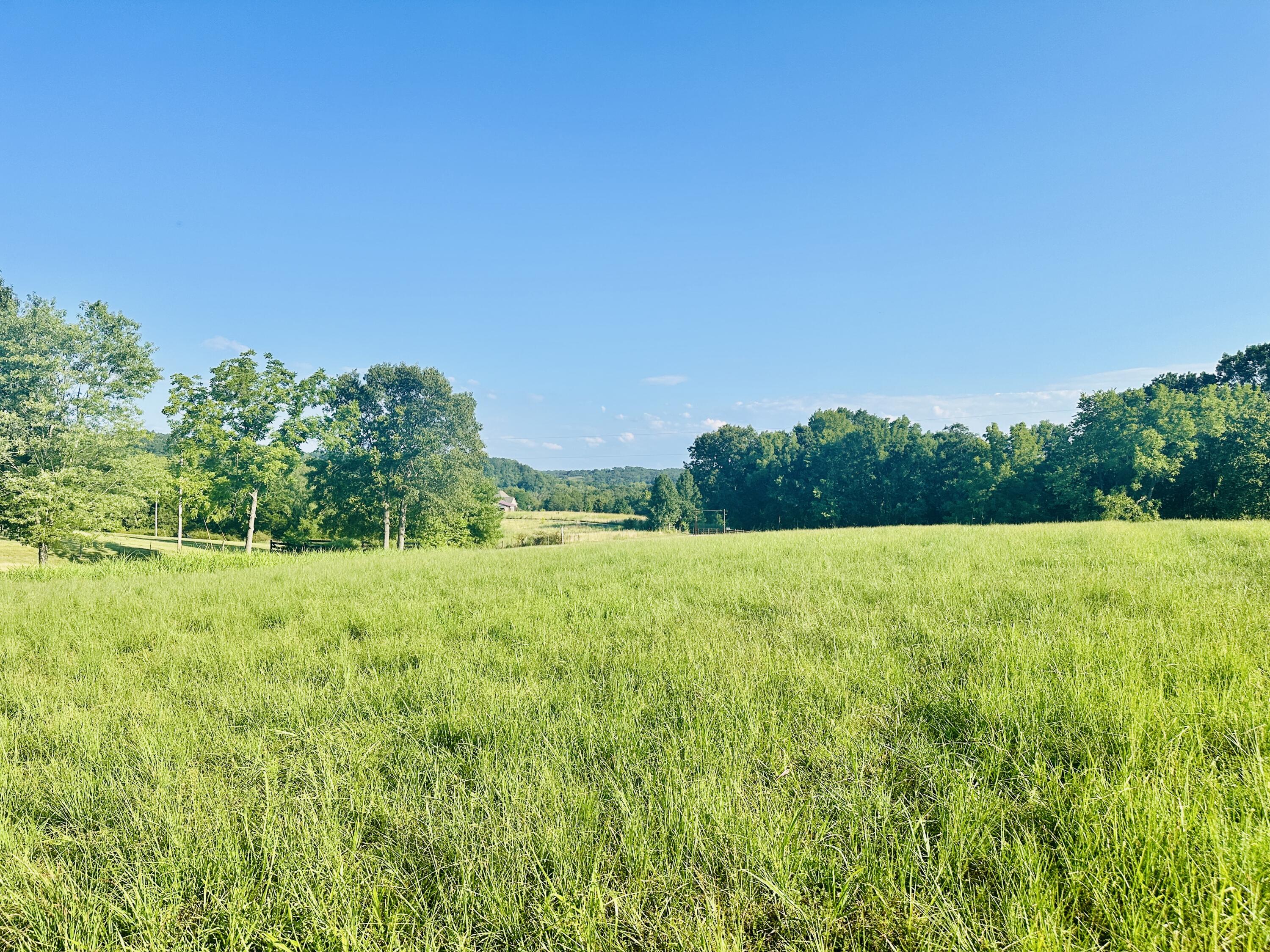 1029 Riverview Road Property Photo 86