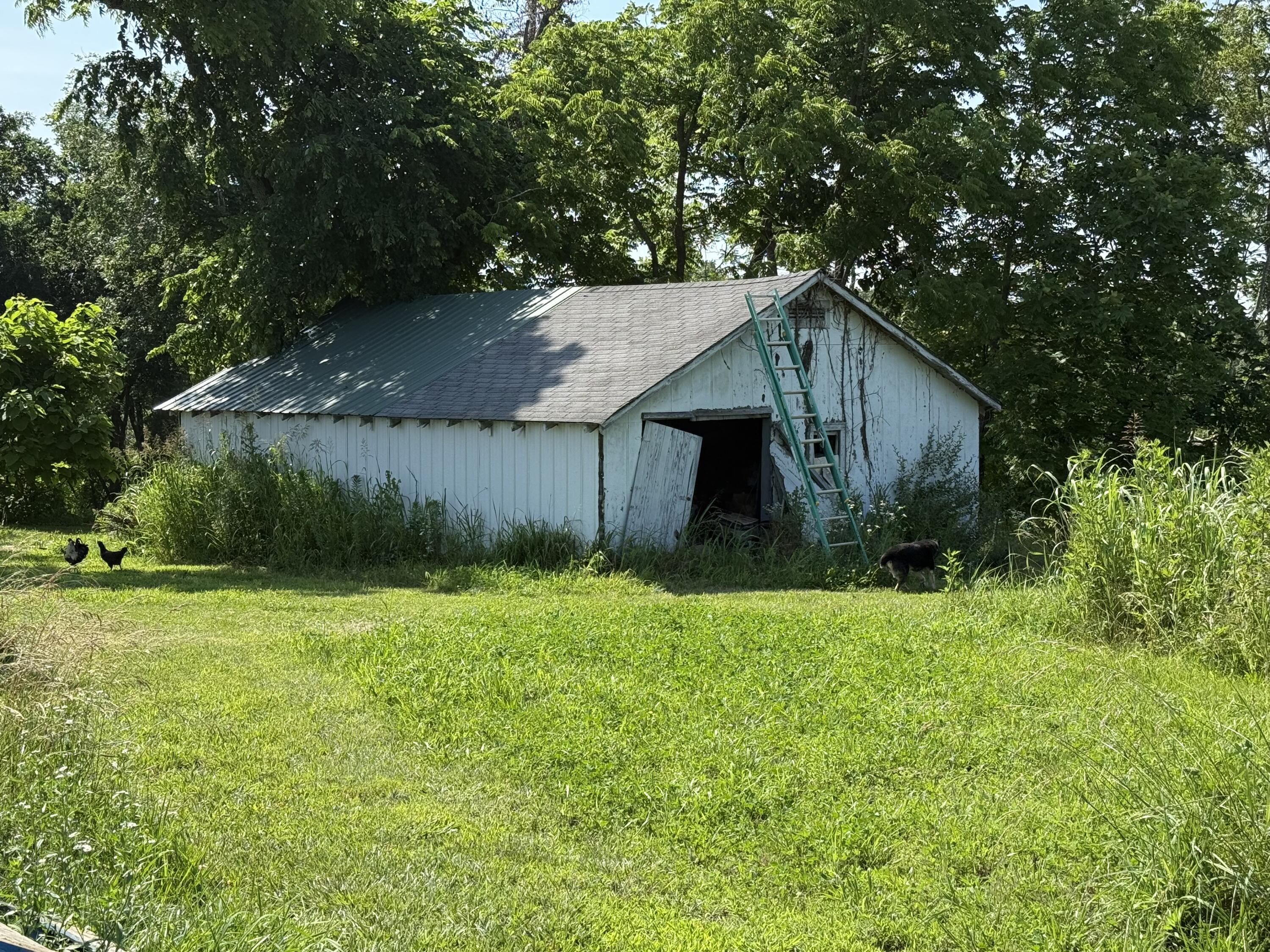 12 Willhoit Lane Property Photo 6