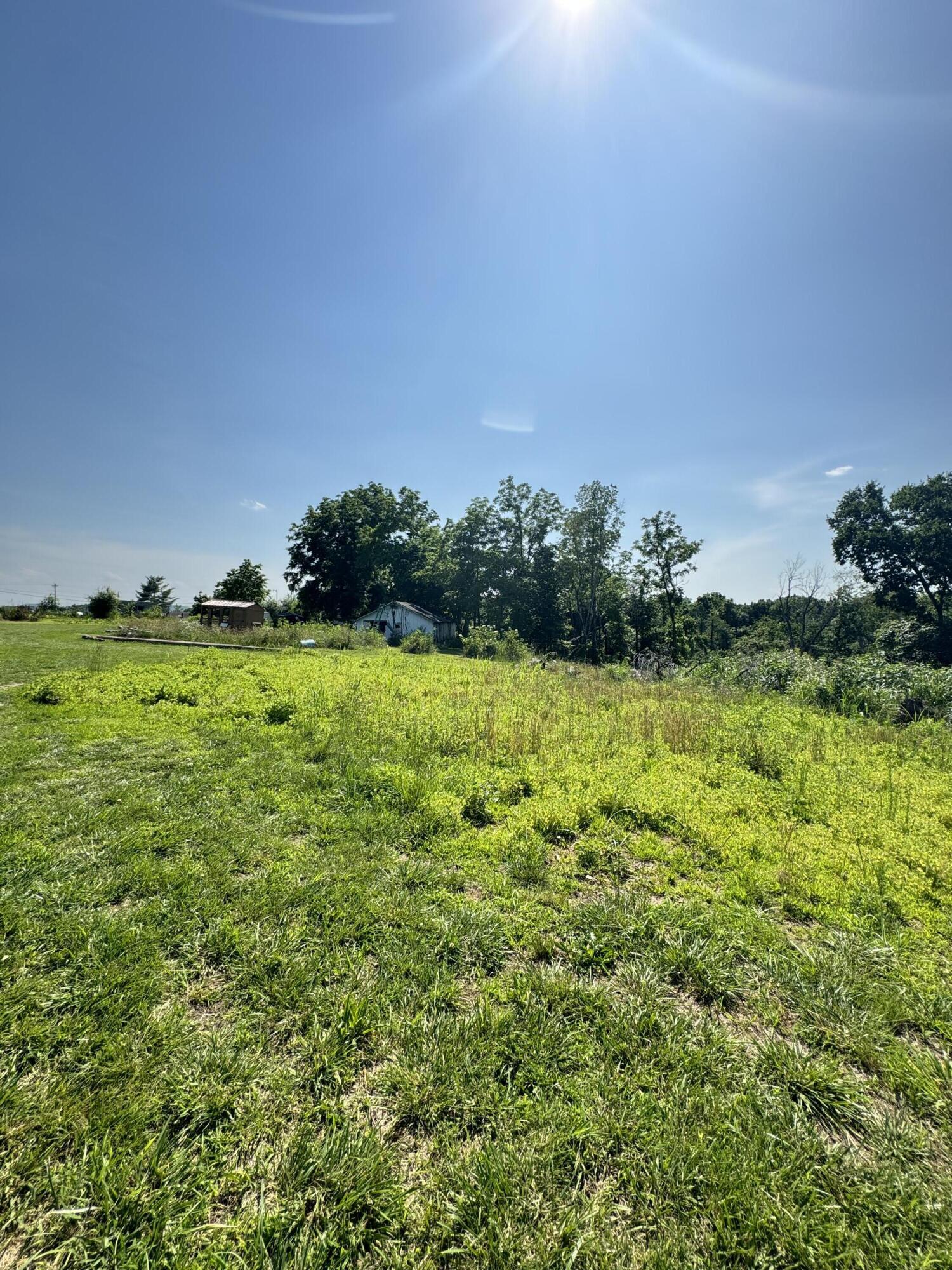 12 Willhoit Lane Property Photo 14