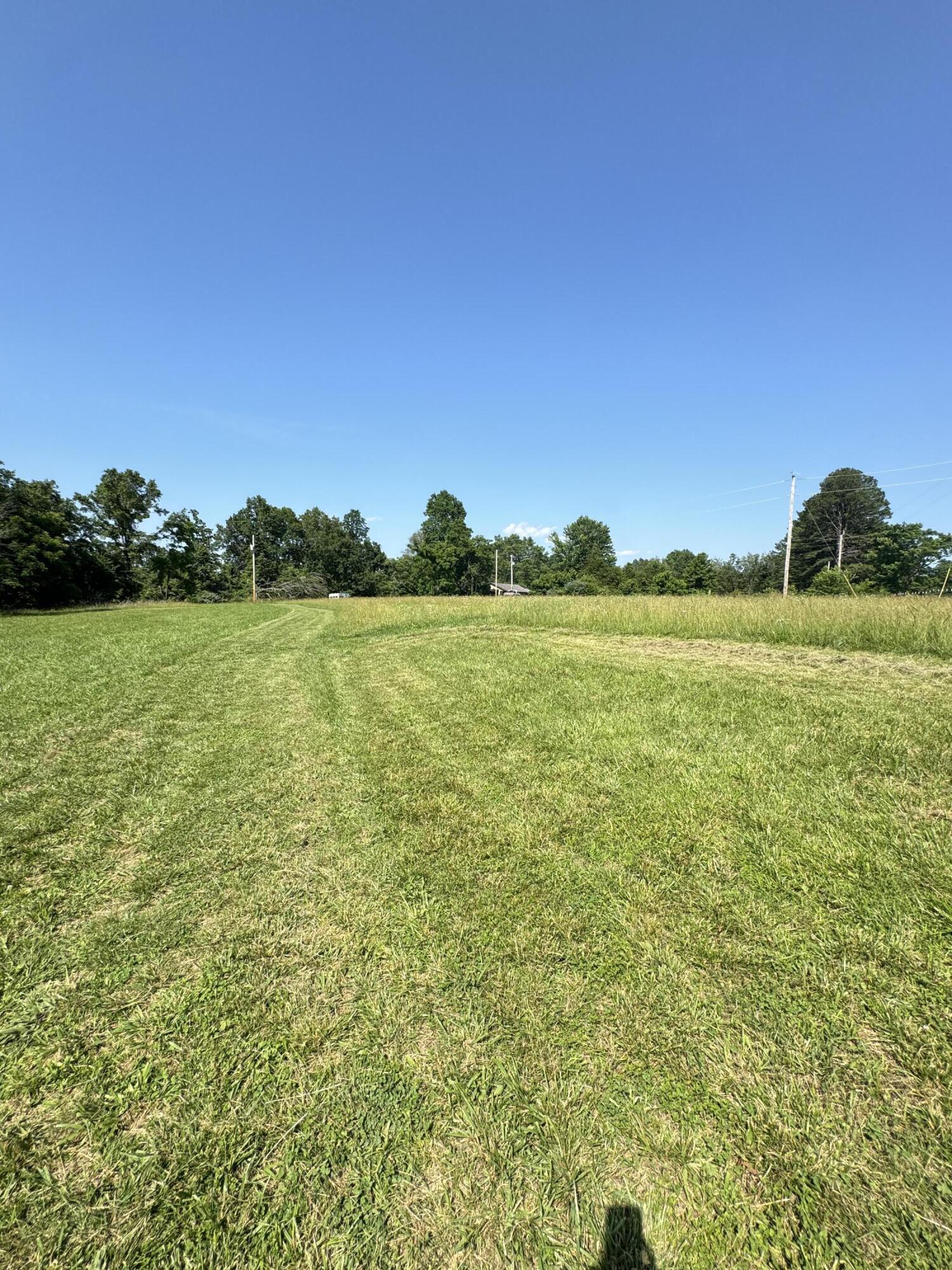 12 Willhoit Lane Property Photo 15