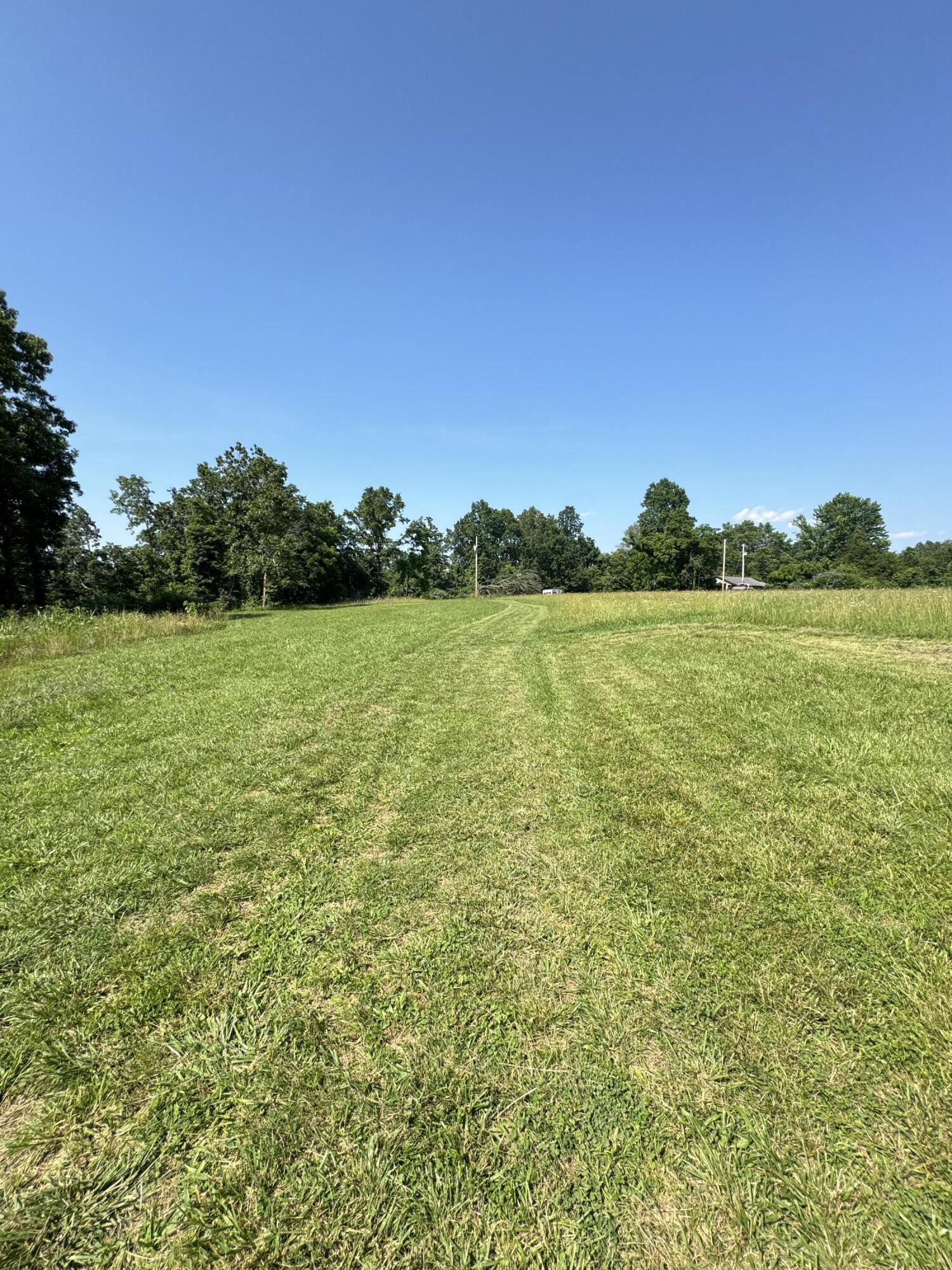 12 Willhoit Lane Property Photo 16