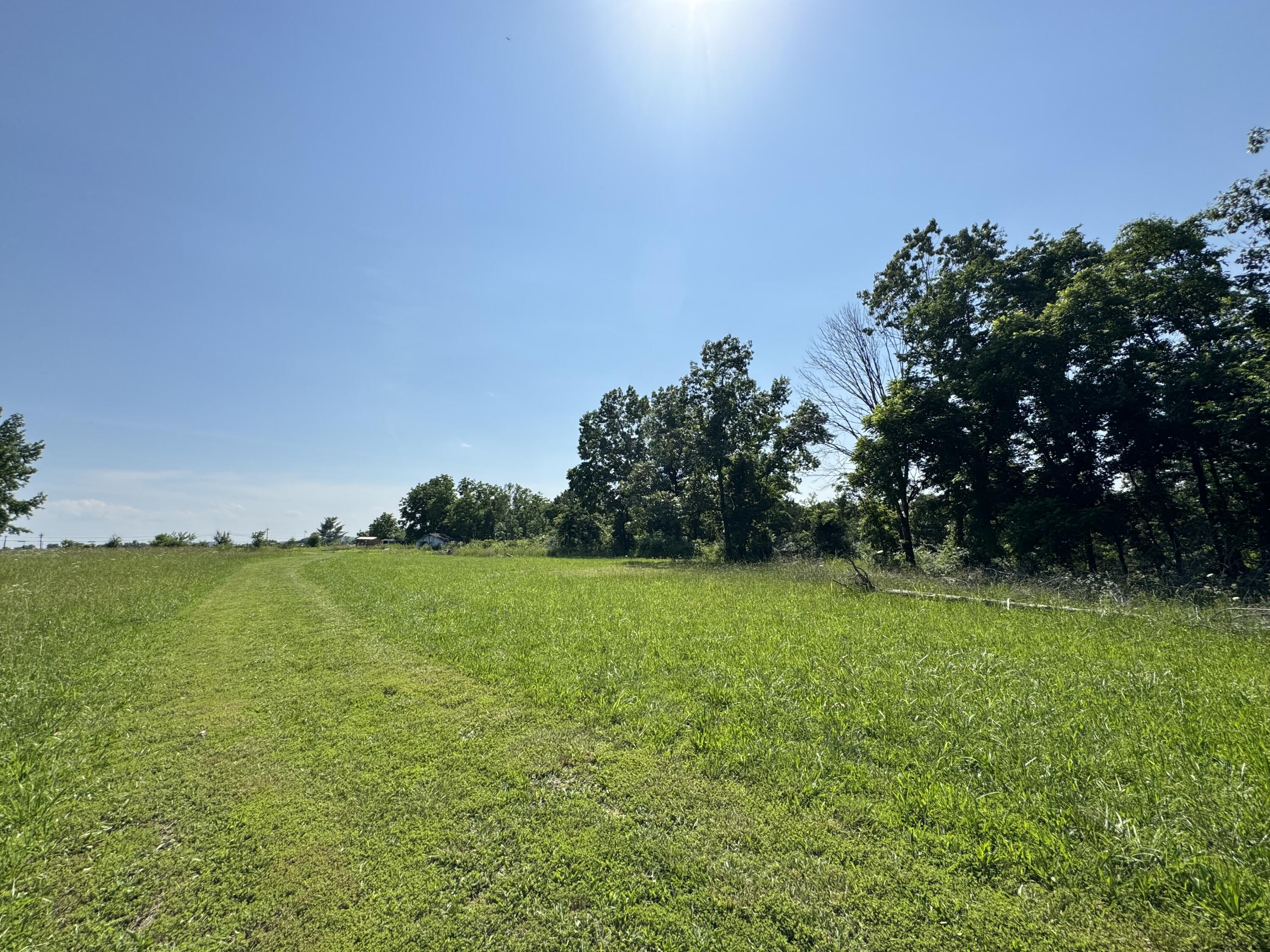 12 Willhoit Lane Property Photo 19