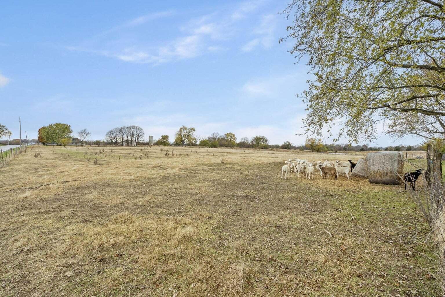 9991 West Farm Rd 124 Property Photo 18