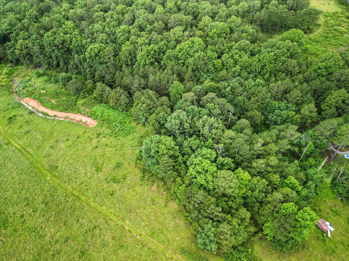 17810 Highway Bb Property Photo 18