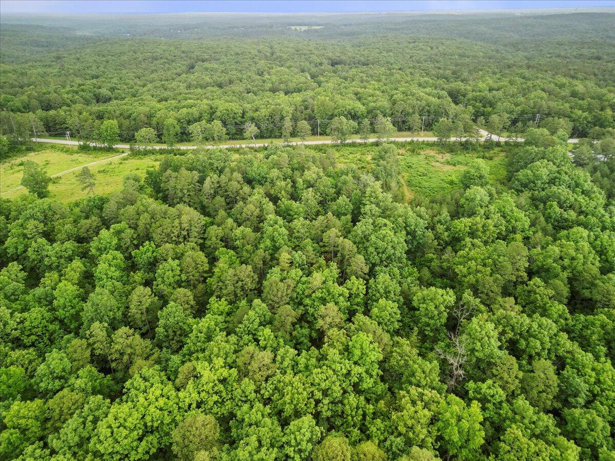 17810 Highway Bb Property Photo 20