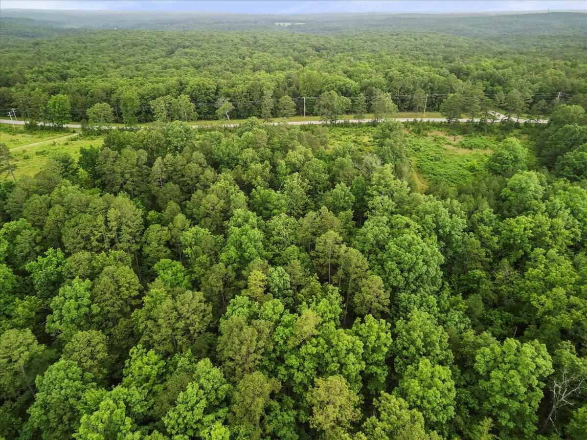 17810 Highway Bb Property Photo 21