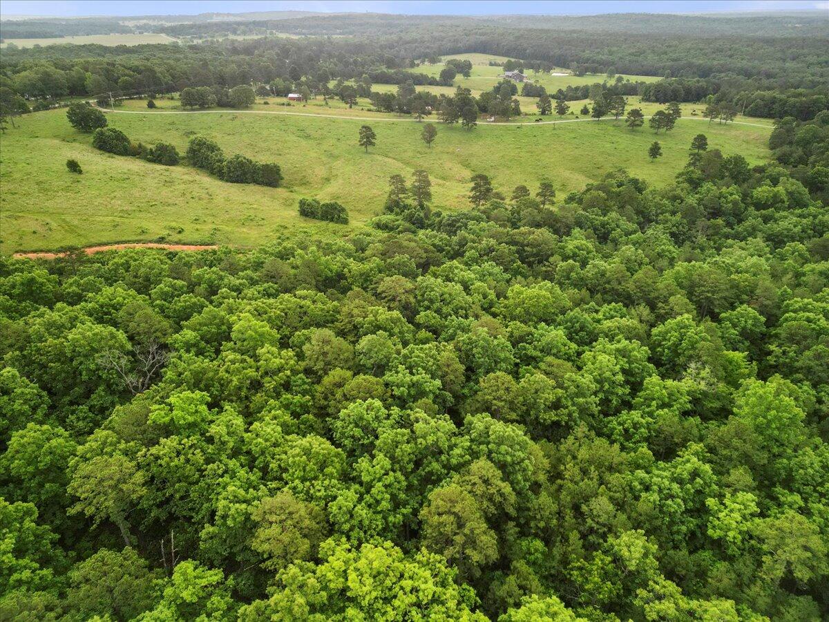 17810 Highway Bb Property Photo 22