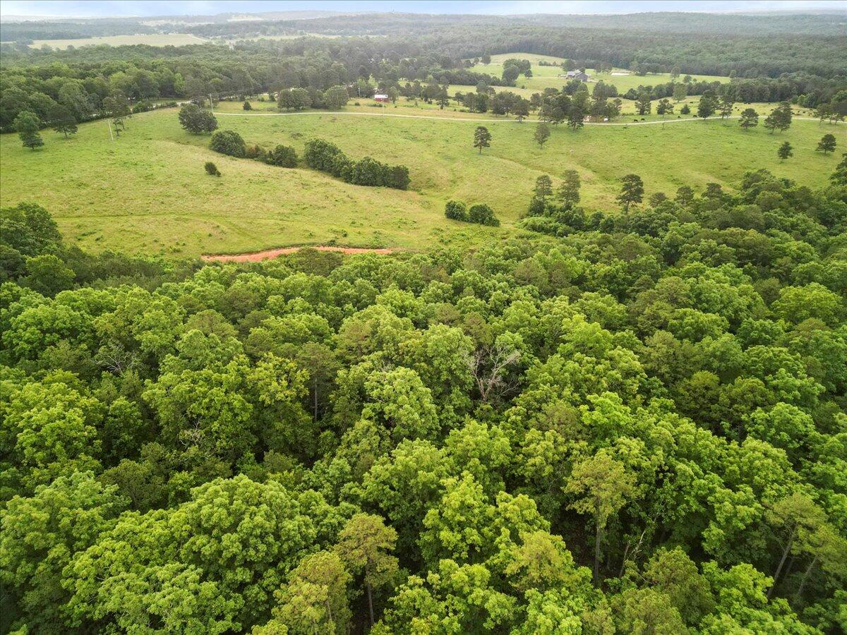 17810 Highway Bb Property Photo 23