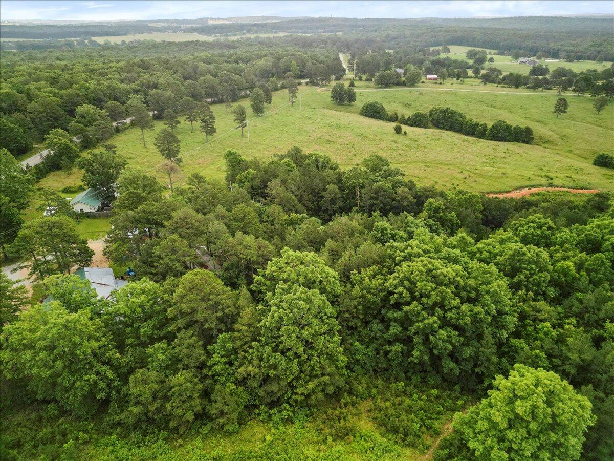 17810 Highway Bb Property Photo 25