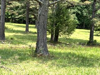 Pr Off County Road 164
