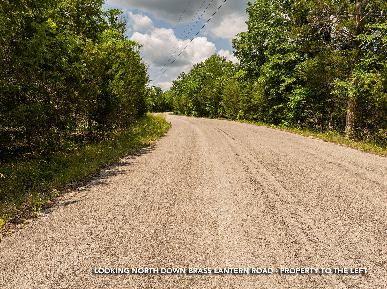 000 Brass Lantern Road Property Photo 6