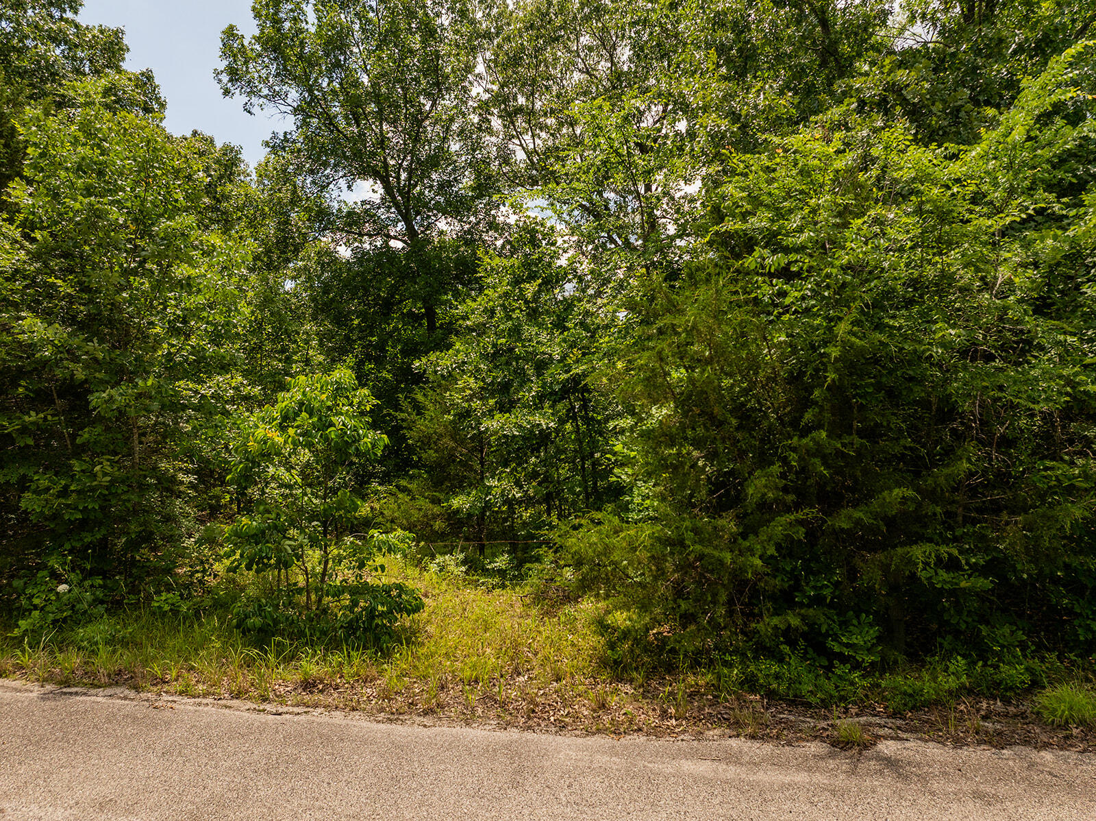 000 Brass Lantern Road Property Photo 8