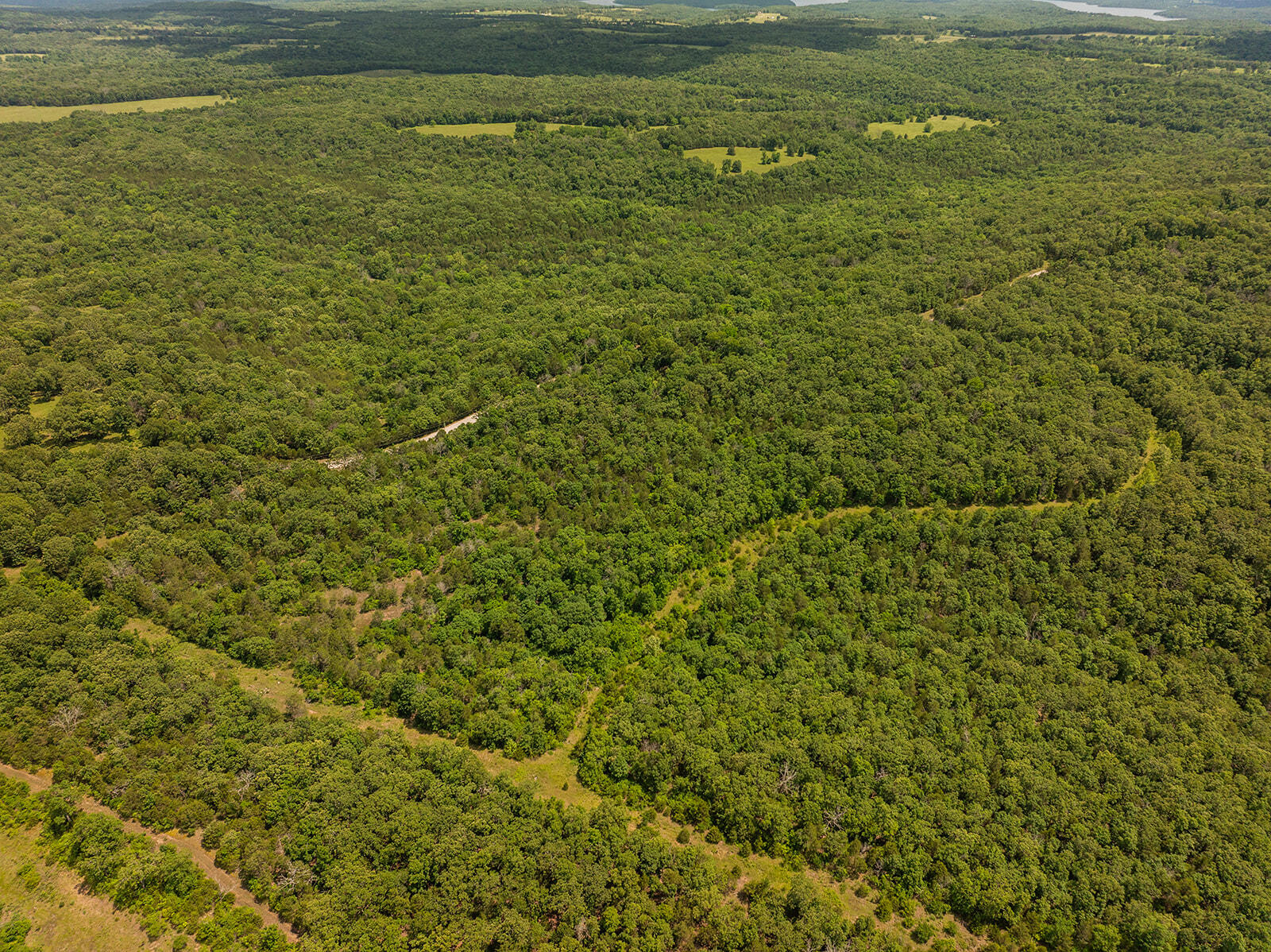 000 Brass Lantern Road Property Photo 11