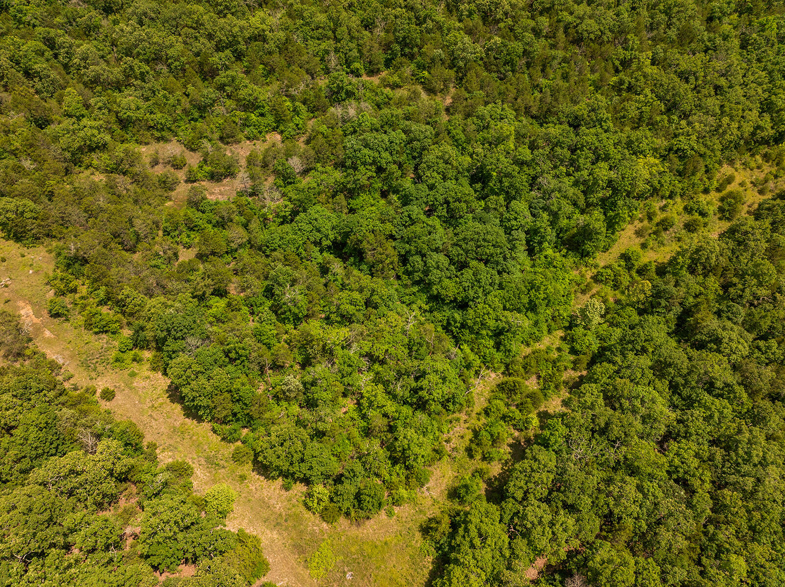 000 Brass Lantern Road Property Photo 12