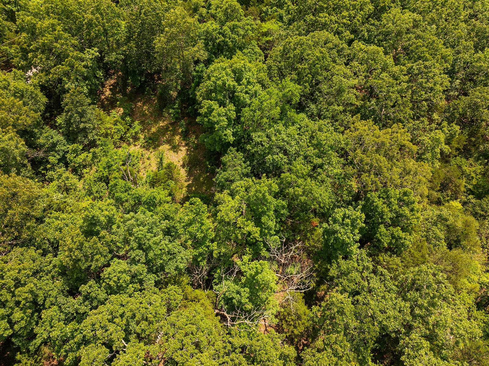 000 Brass Lantern Road Property Photo 13