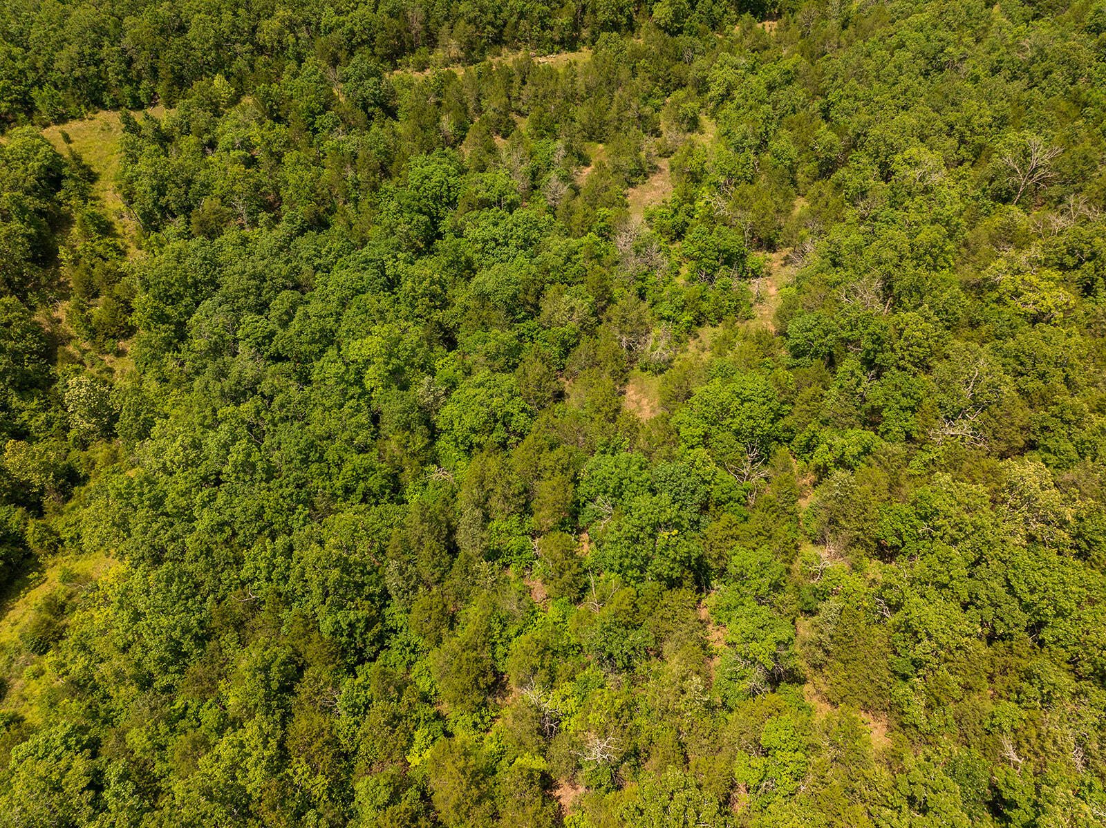 000 Brass Lantern Road Property Photo 14