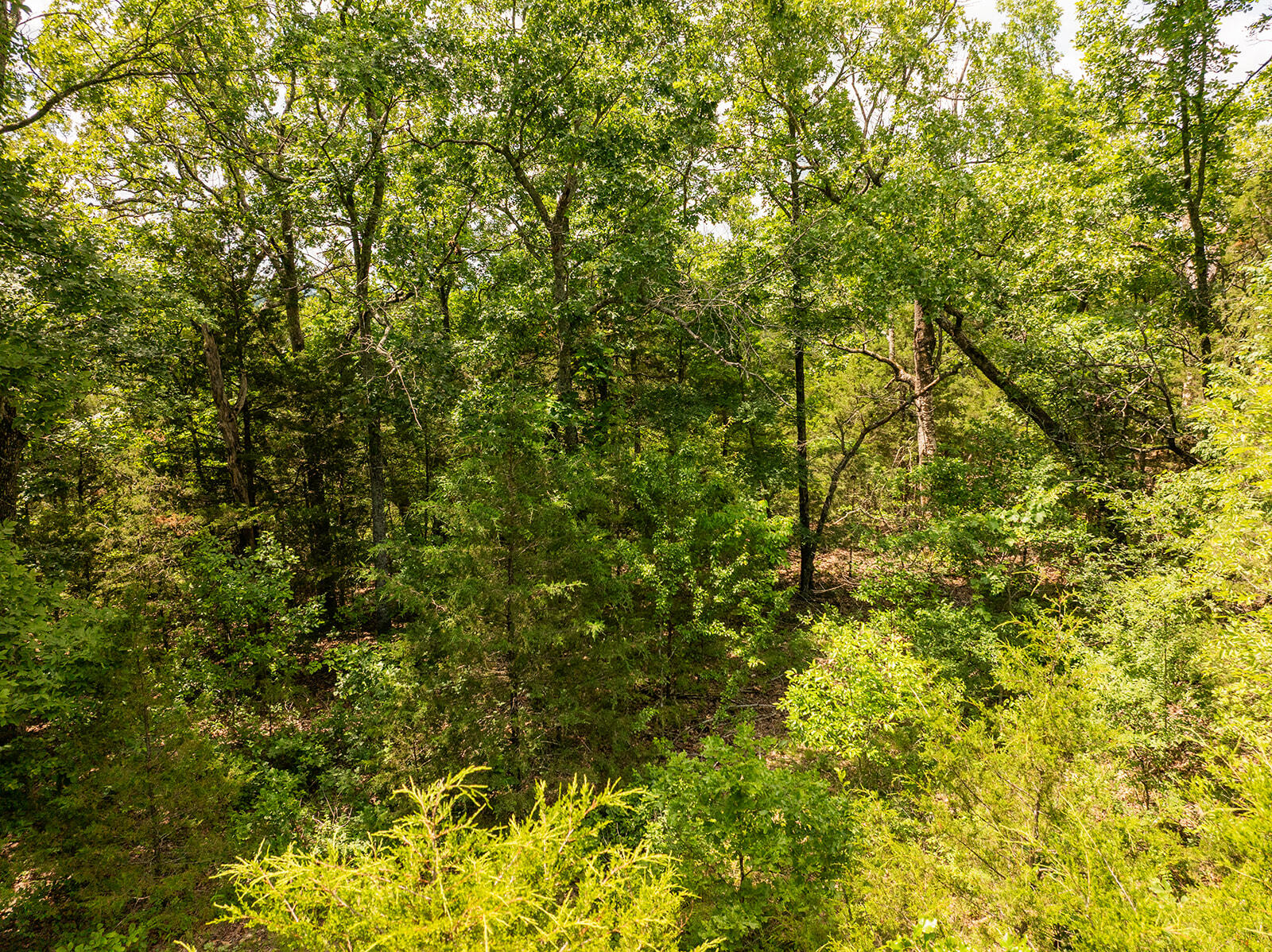 000 Brass Lantern Road Property Photo 17