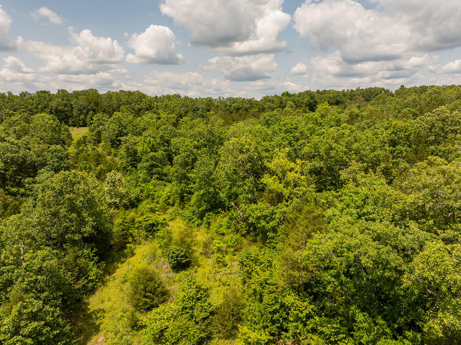 000 Brass Lantern Road Property Photo 18