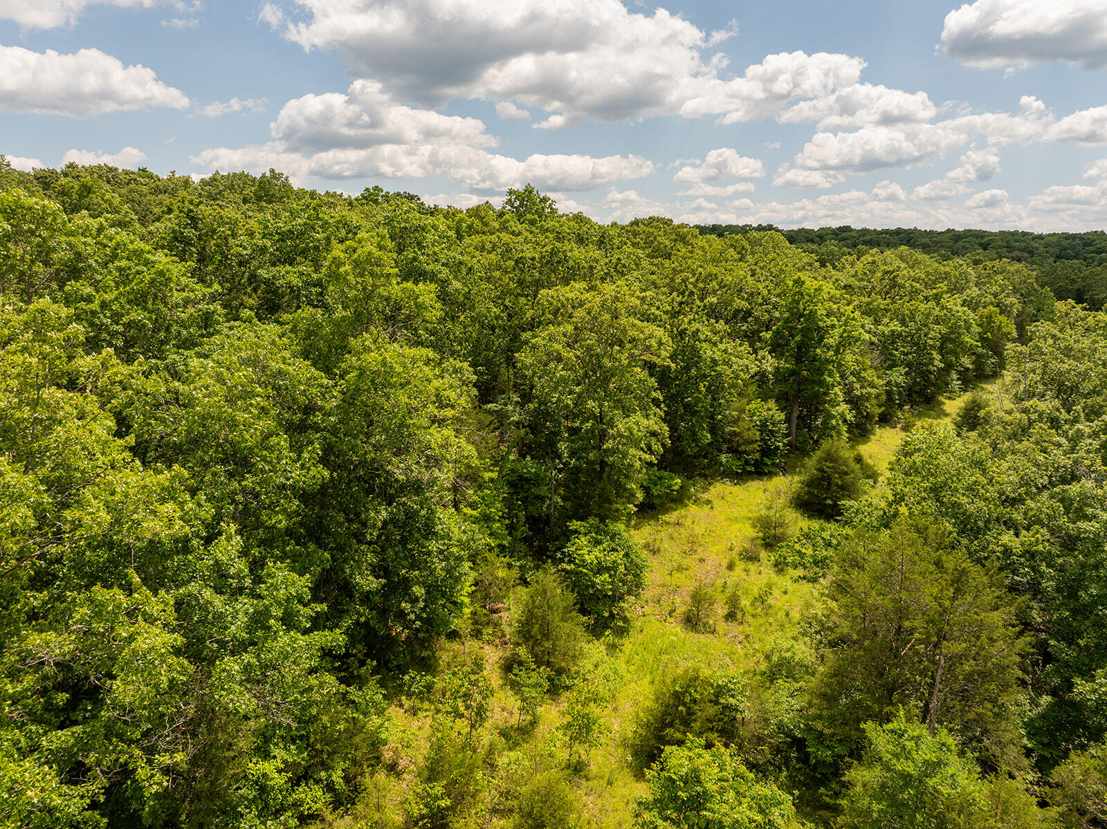 000 Brass Lantern Road Property Photo 19