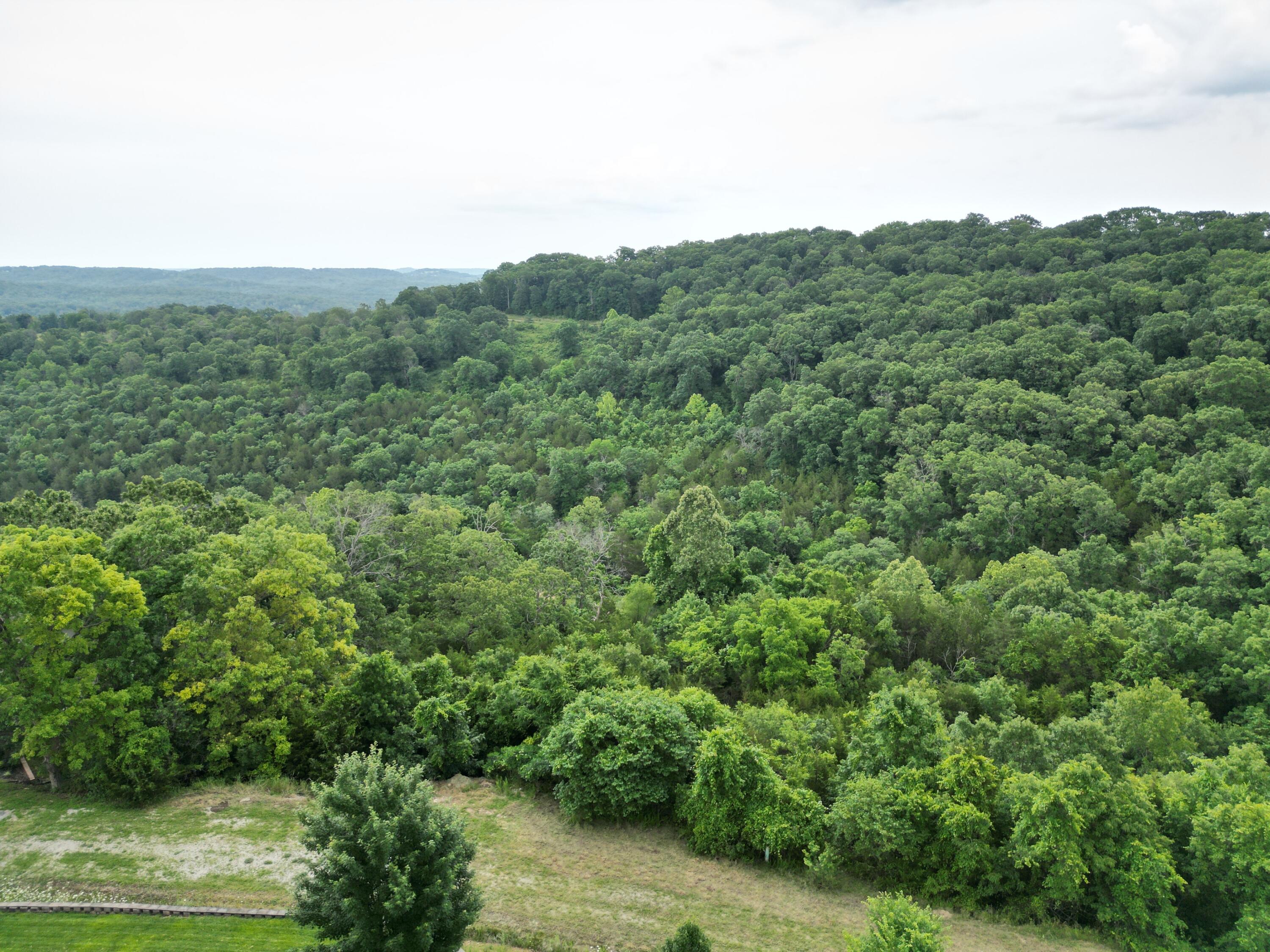 259 Jacks Hollow Road Property Photo 5