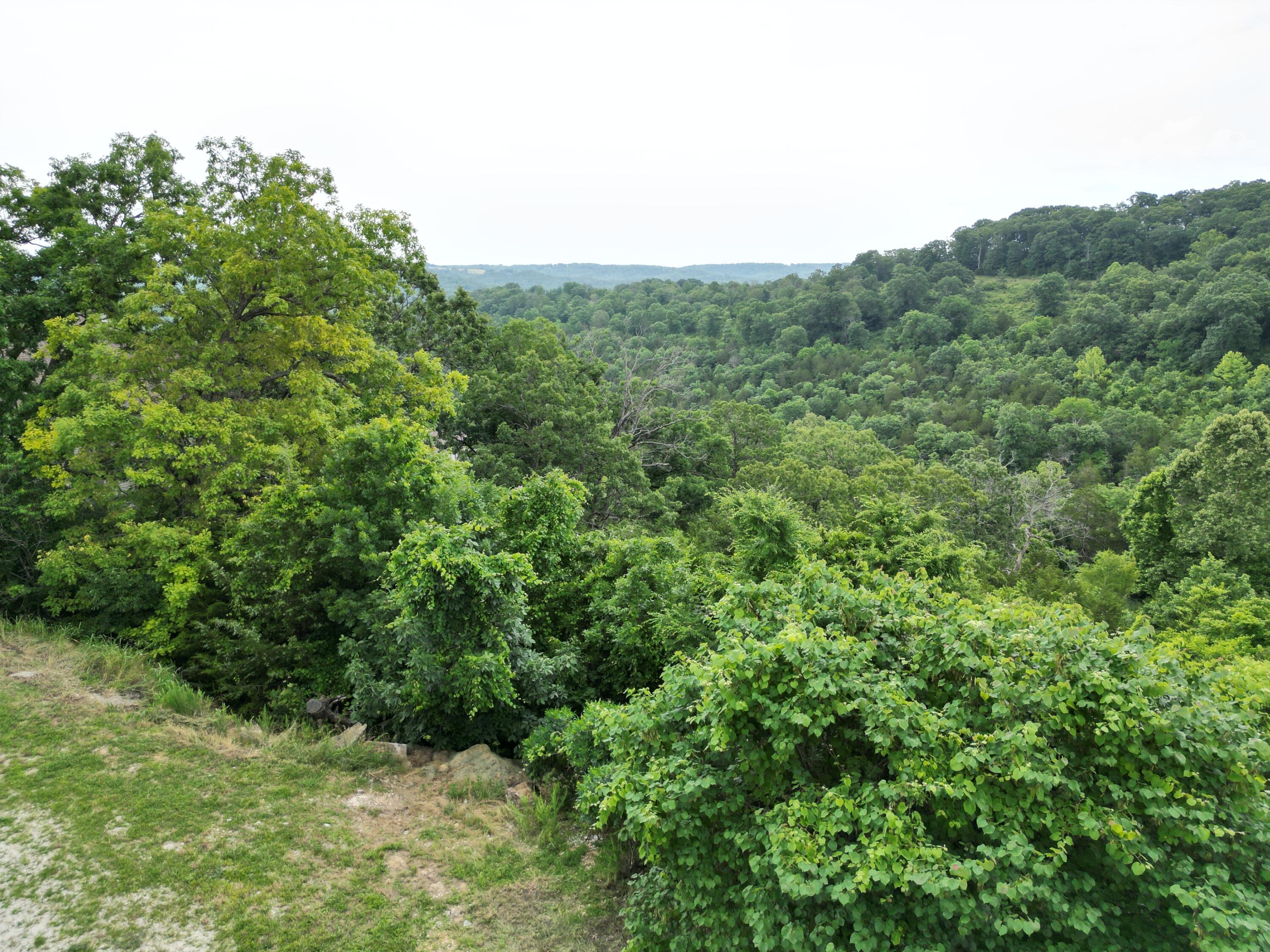 259 Jacks Hollow Road Property Photo 7