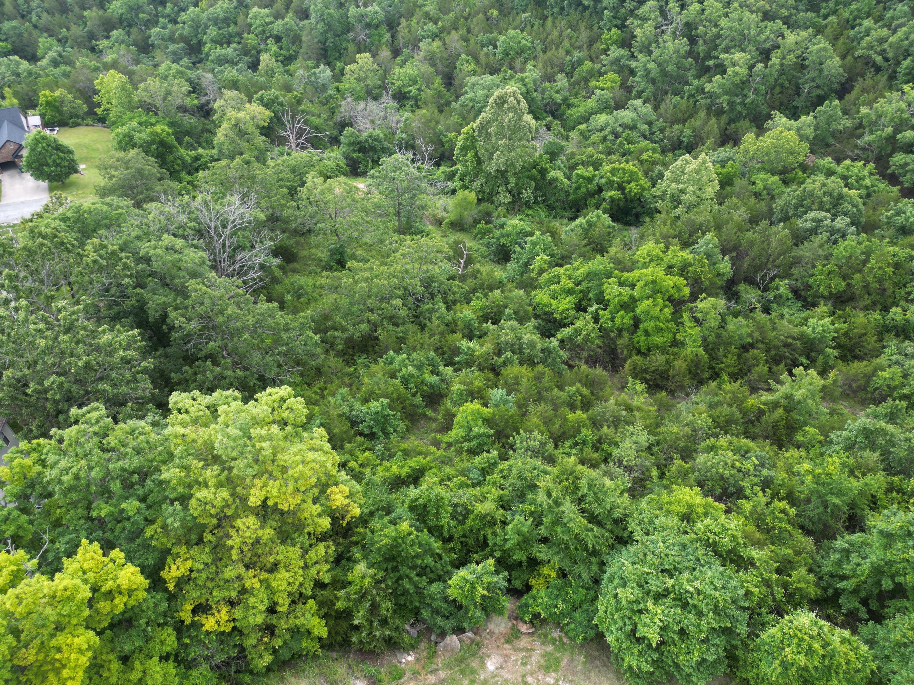 259 Jacks Hollow Road Property Photo 10