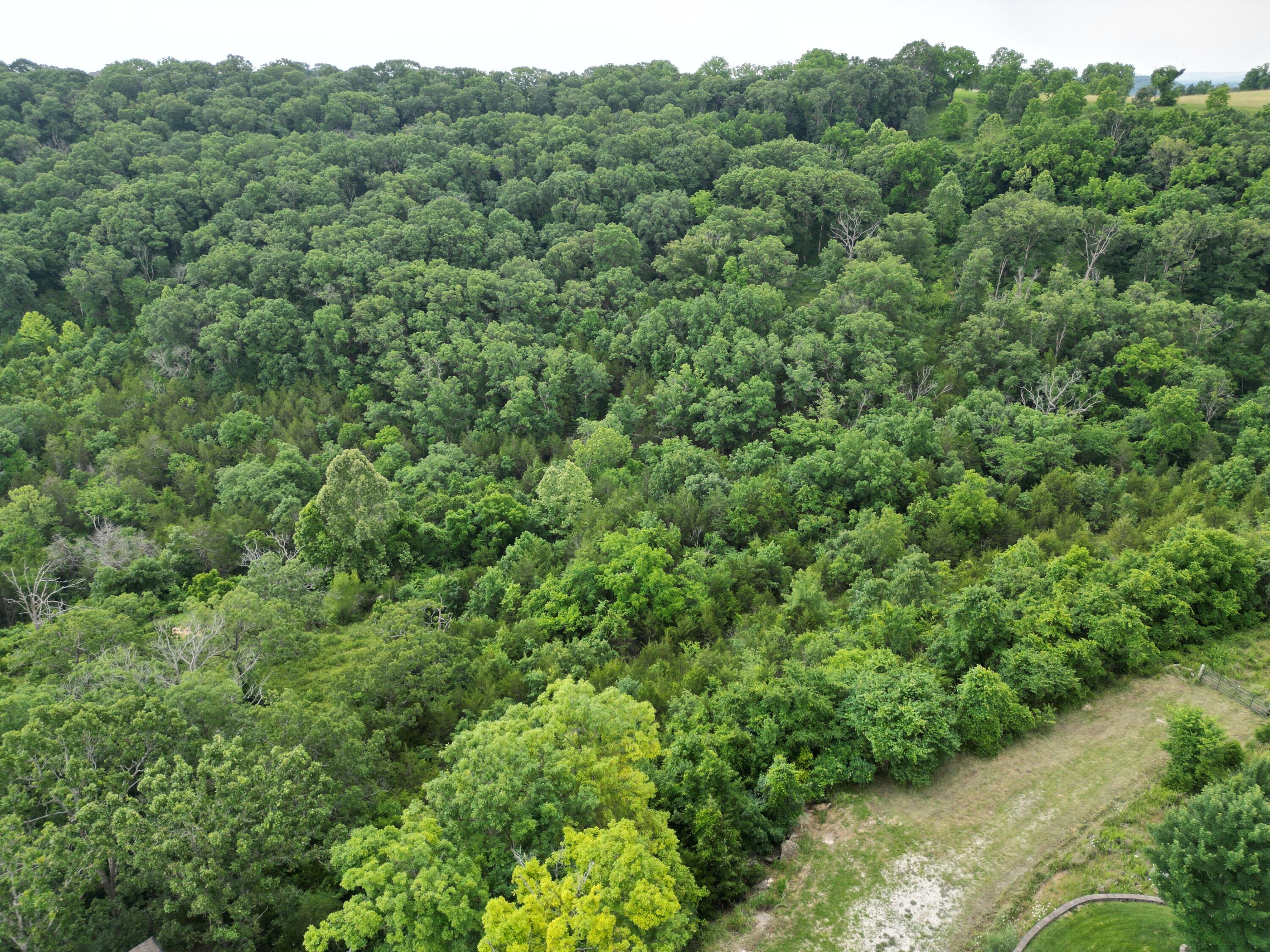 259 Jacks Hollow Road Property Photo 11